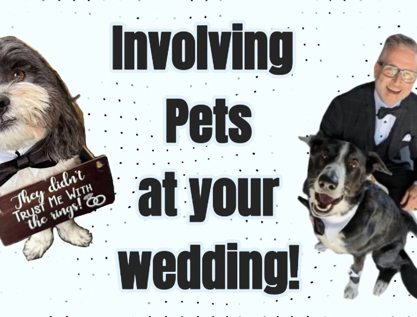 Involving pets at your wedding 