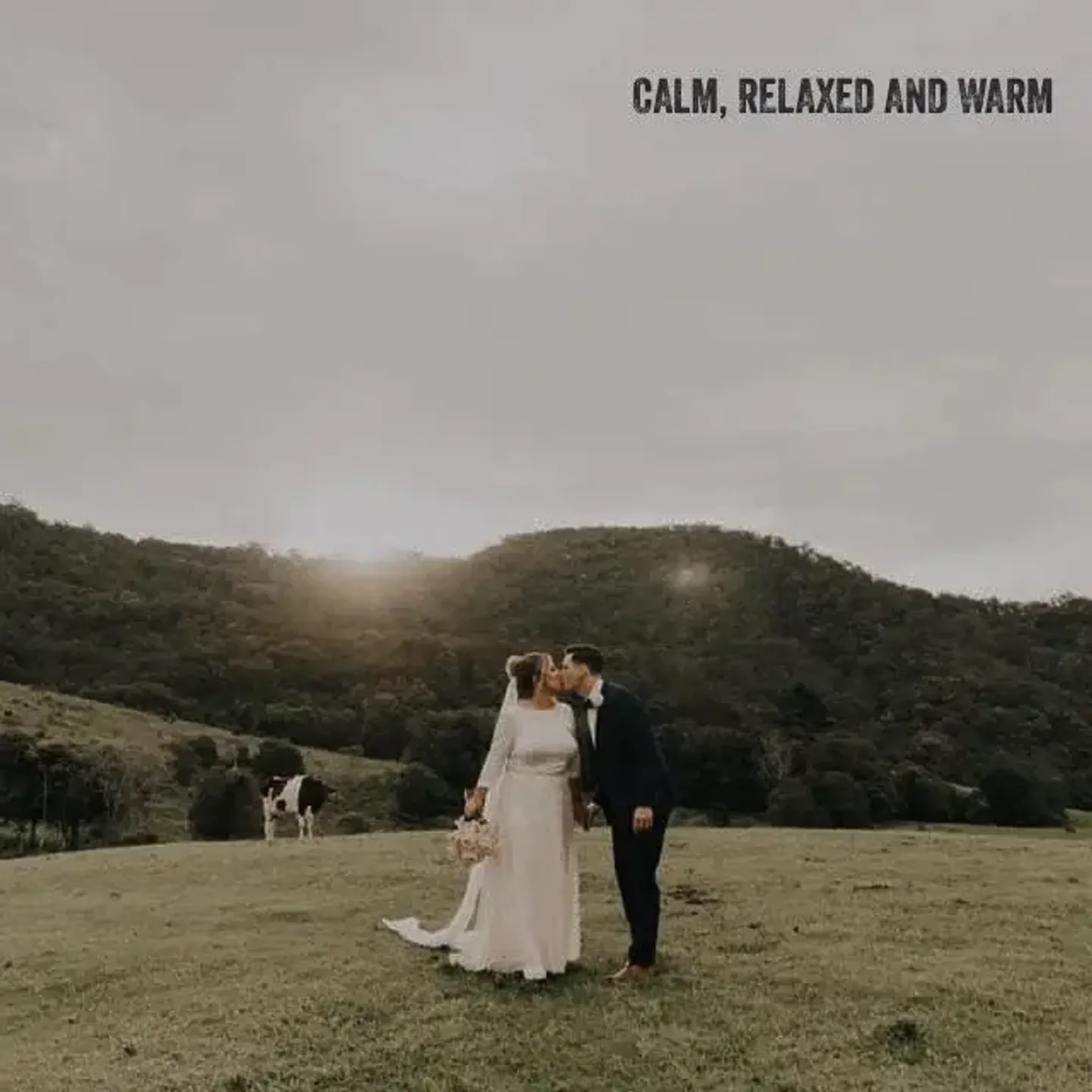 Jake Smith was the marriage celebrant for Amanda & Jake at Cowbell Creek, Austinville, Queensland, and they gave him a five star rating for his wedding celebrant services.