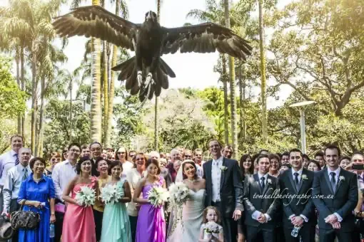 Jake Smith was the marriage celebrant for Robert & Andrea, and they gave him a five star rating for his wedding celebrant services.