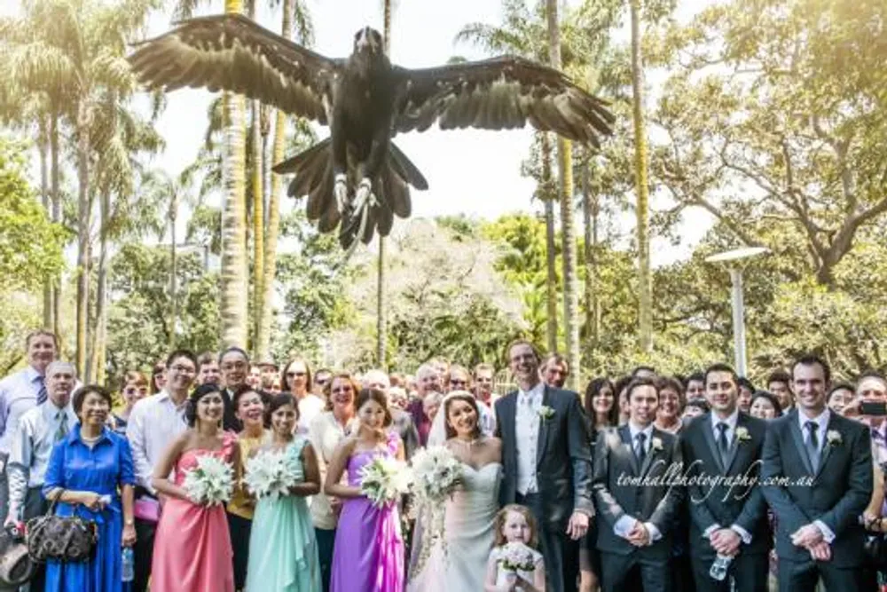 Robert and Andrea testimonial