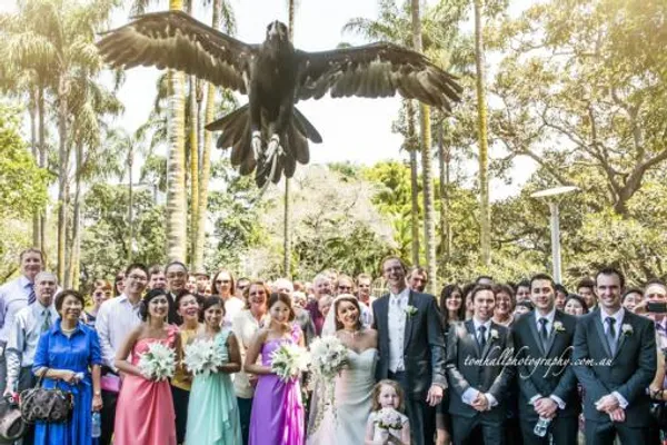 Robert and Andrea testimonial