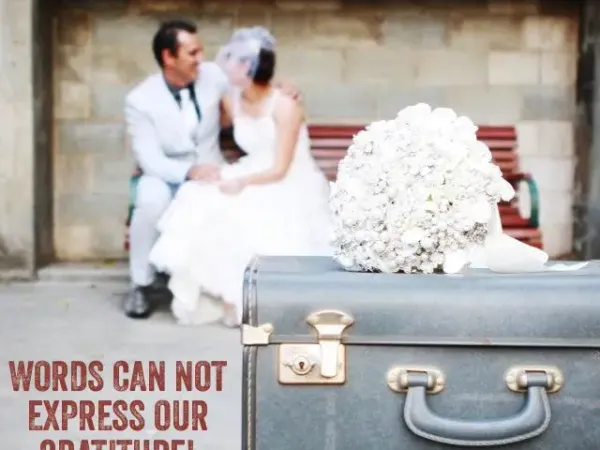 Jake Smith was the marriage celebrant for Rodney & Amanda at Victoria Park, Brisbane, Queensland, and they gave him a five star rating for his wedding celebrant services.